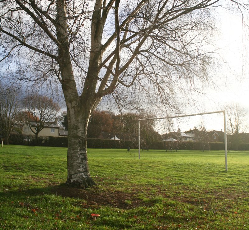 football pitch