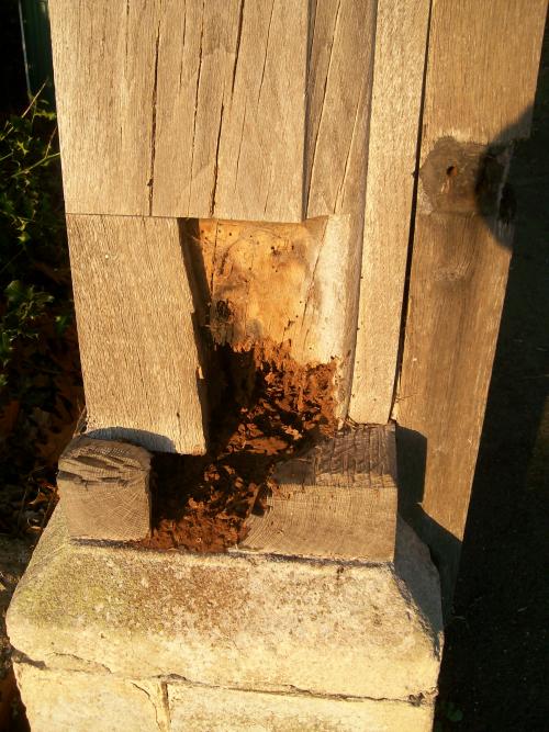 St George's Church Great Bromley Essex Lychgate rot