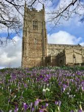 St George's Tower, with crocuses, March 2017